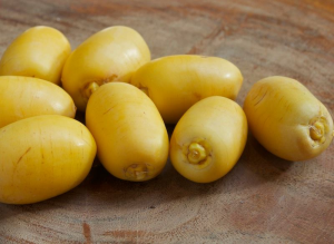 Yellow Fresh Barhi Dates 30Lbs